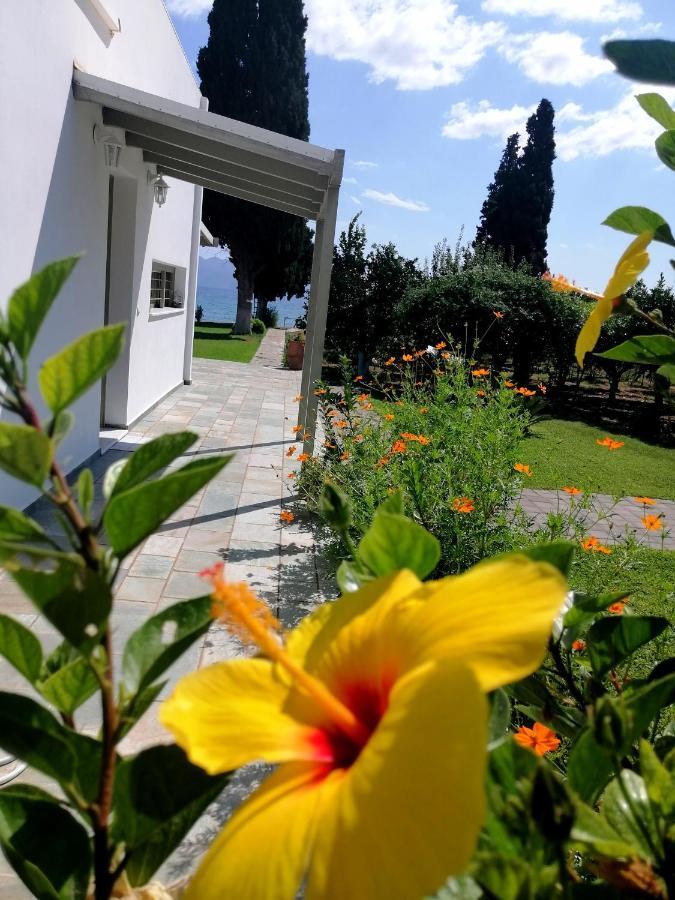 Villa Maria Epidaurosz Kültér fotó